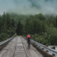 Bikepacking Alaska | Heading North from Valdez